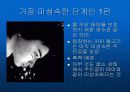 [마케팅]TTL광고분석 6페이지