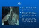 [마케팅]TTL광고분석 7페이지