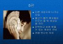 [마케팅]TTL광고분석 10페이지