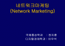 우리나라 네트워크마케팅의 현황 1페이지