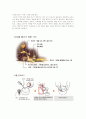 일본의 다도문화 역사 6페이지
