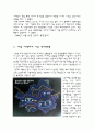 열섬 현상 39페이지
