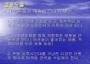 [마케팅조사]시식이 구매에 미치는 영향 30페이지