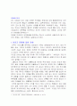 이라크전쟁에 대한 비판 1페이지