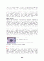 주요도시 문화관광거리 23페이지