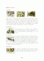 주요도시 문화관광거리 26페이지