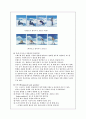 [생활스포츠] 스노우 보드 10페이지