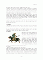 몽골(Mongol)의 역사와 문화이해 7페이지