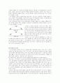 관성모멘트와 각운동량 실험 결과 레포트 11페이지