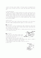 [사범/법학] 자동차와 물리 16페이지