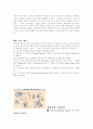 [사범/법학] 자동차와 물리 20페이지