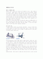 [사범/법학] 자동차와 물리 25페이지