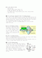 [사범/법학] 자동차와 물리 40페이지