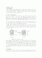 [사범/법학] 자동차와 물리 72페이지
