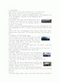 [사범/법학] 자동차와 물리 74페이지