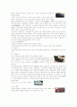 [사범/법학] 자동차와 물리 75페이지