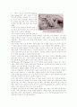 [사범/법학] 자동차와 물리 89페이지