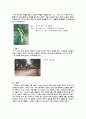사업계획서(관광상품 아이템으로) 12페이지