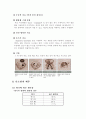 난소암 케이스 17페이지