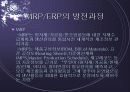MRP/ERP전망 3페이지
