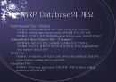 MRP/ERP전망 26페이지
