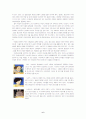 미야자키감독 6페이지