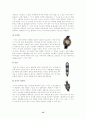 [체육대]-스킨스쿠버에 대하여 15페이지