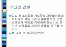 올바른 전자상거래에 관한 발표자료 17페이지