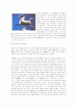 실크로드-사막을 넘은 모험자들 14페이지