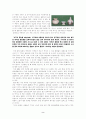 [인문대]-울릉도에 대하여 2페이지