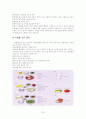 [생활대]-중년기의 영양 7페이지