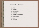 사업다각화 2페이지