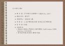 사업다각화 5페이지