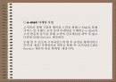사업다각화 13페이지