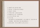 사업다각화 27페이지