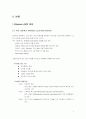 [경영정보시스템]무선 LAN에 대한연구 4페이지