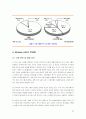 [경영정보시스템]무선 LAN에 대한연구 22페이지