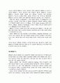 (이동통신사업)모바일 동영상에 관한연구 11페이지