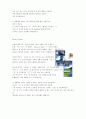 [전자상거래] 모바일 비즈니스 M-GIS 39페이지