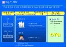 6시그마에 관한 발표자료(삼성SDI, LG전자를 중심으로) 32페이지