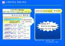 6시그마에 관한 발표자료(삼성SDI, LG전자를 중심으로) 33페이지