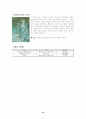 [미술대]-피카소의 생애와 작품세계 12페이지