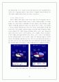 중국이동통신사업에 진출한 다국적기업분석 10페이지