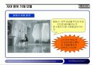 광고와 심리학 13페이지