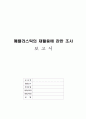 폐플라스틱의 재활용 조사보고서 1페이지