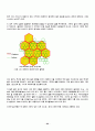 CDMA의 발전방향과 서비스 방식 64페이지