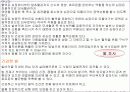 발에 대하여 5페이지