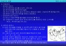 자동차 사용 설명서 요약 21페이지