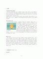 애니메이션의 비교 8페이지