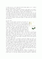 박완서 작품 속 페미니즘 13페이지